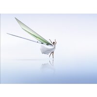 HONOR MagicBook Art 14 2024 MRA-521 5301AKRS Image #17