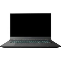 Thunderobot 911 X17 i7136H56C1Q165MBD