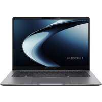 ASUS ExpertBook P3 P3405CVA-LY0185