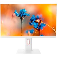 ТЕСЛА P24WP 2108500