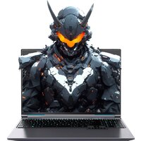 Mechrevo Aurora X FGM-X6PR556W0014201